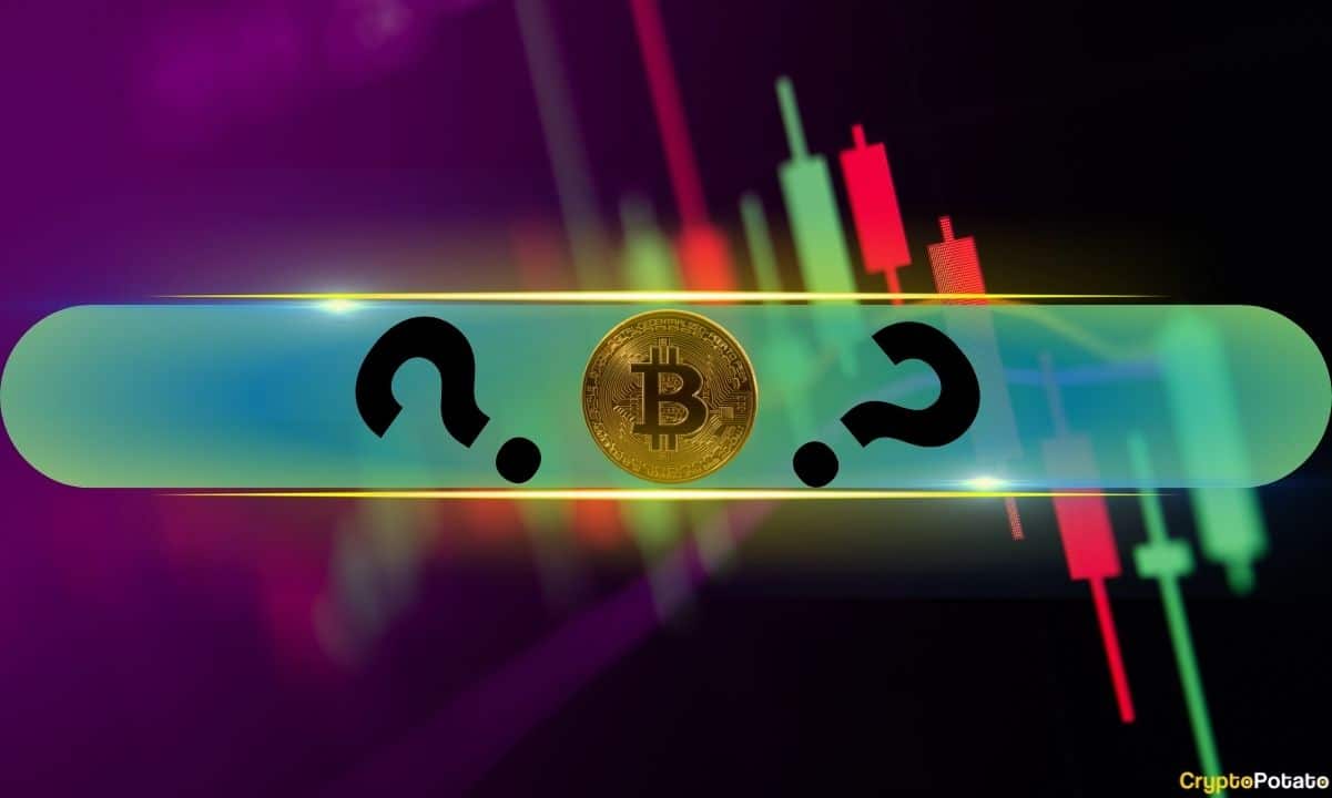随着比特币(BTC)价格回升至9.1万美元,山寨币迎来两位数的涨势(市场观察)