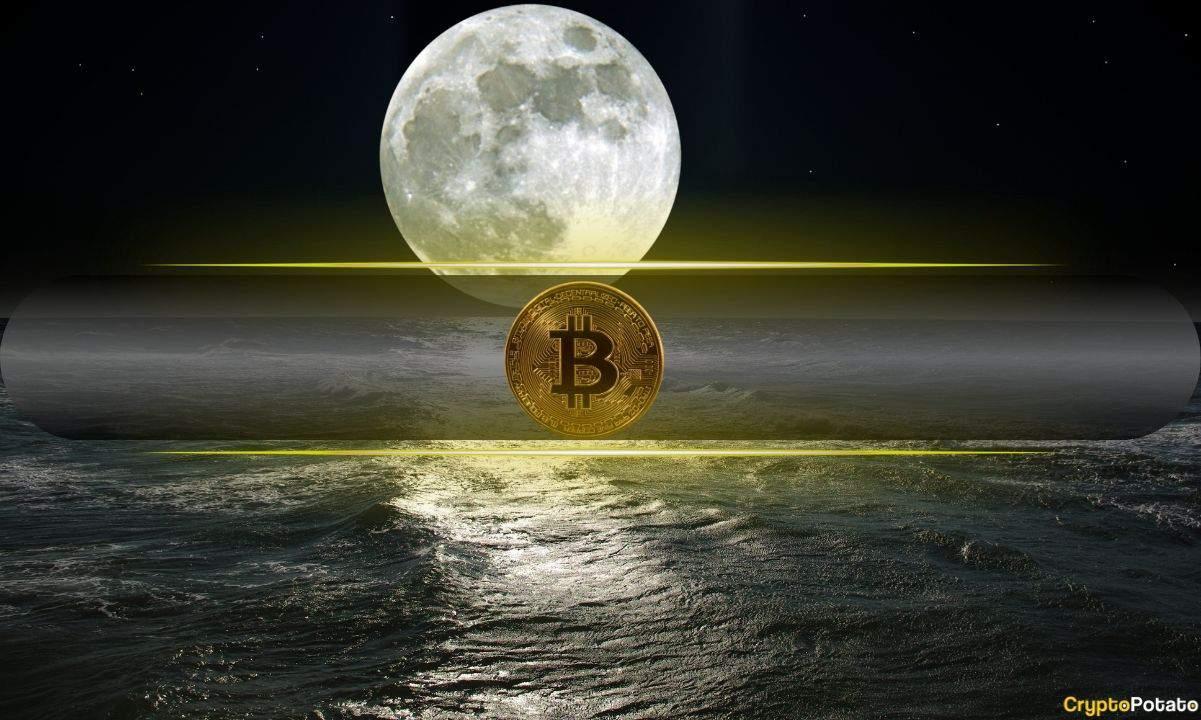 分析师预测比特币将涨至10.2万美元,价格上涨行情方才开启