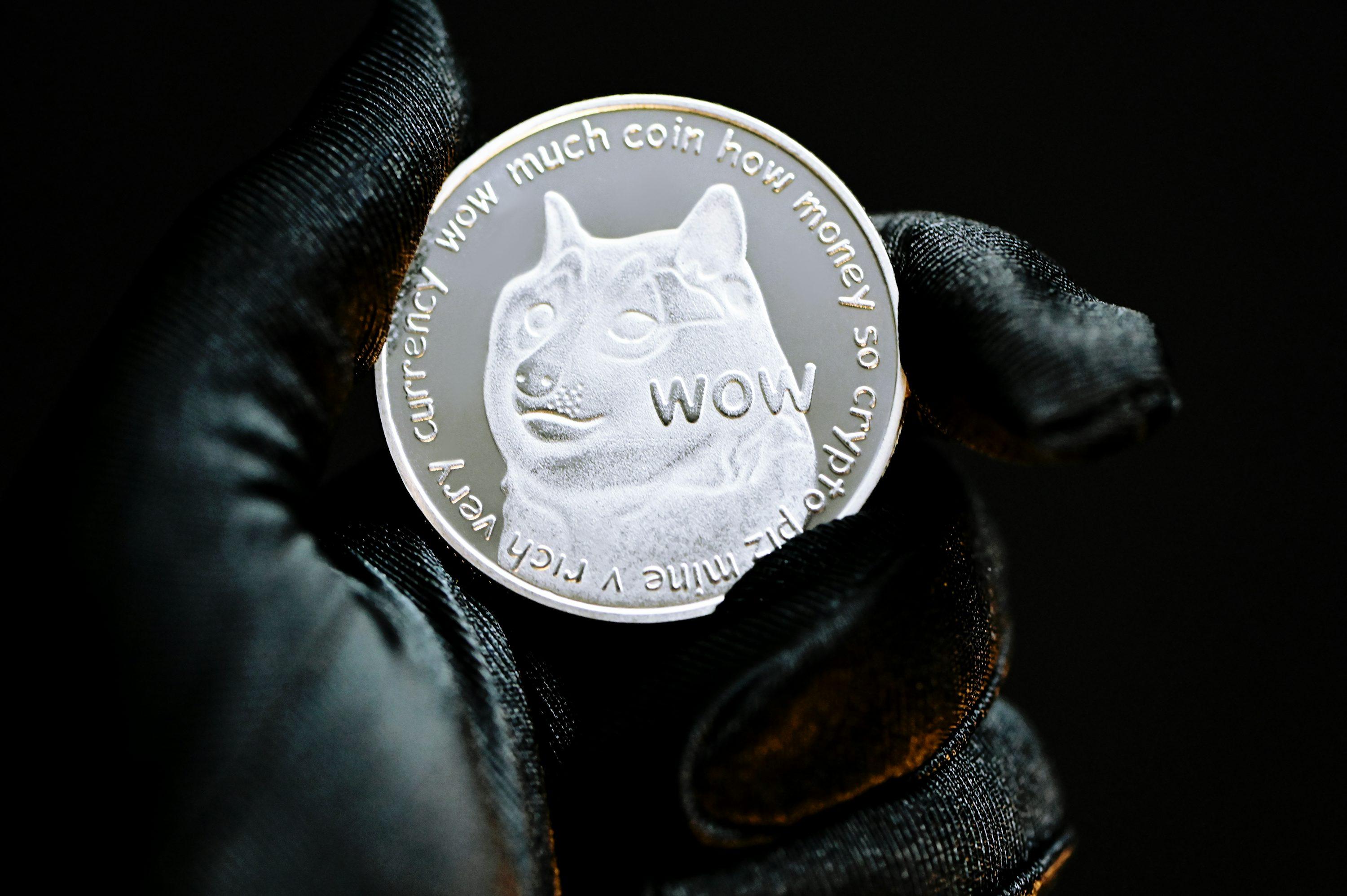 Dogecoin：为什么价格能够效仿其主动地址增长高峰达47%？